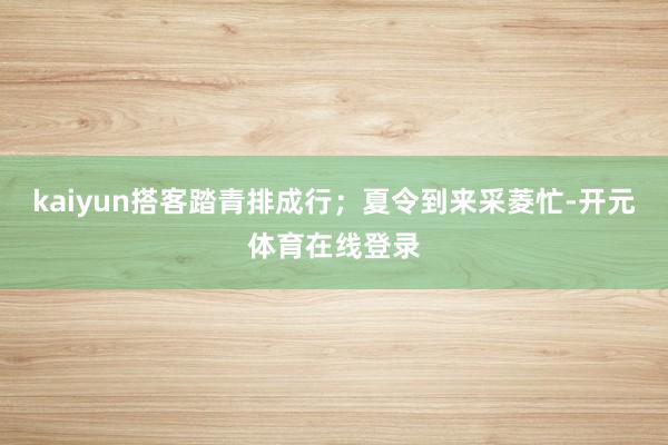 kaiyun搭客踏青排成行；夏令到来采菱忙-开元体育在线登录