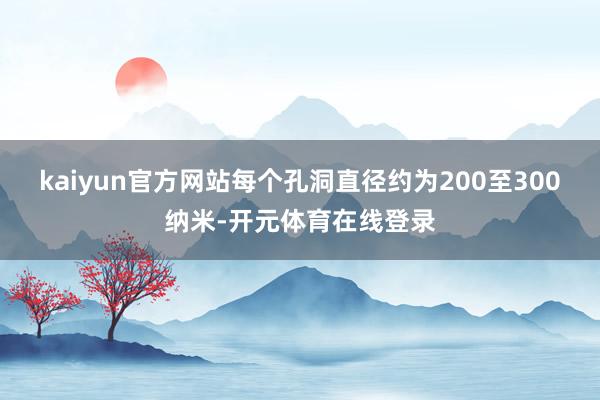 kaiyun官方网站每个孔洞直径约为200至300纳米-开元体育在线登录